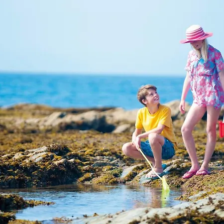 The Carlyon Bay And 4* St Austell